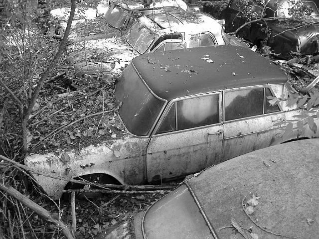 Autofriedhof - 079.JPG - Historischer Autofriedhof,    Gürbetal (CH)